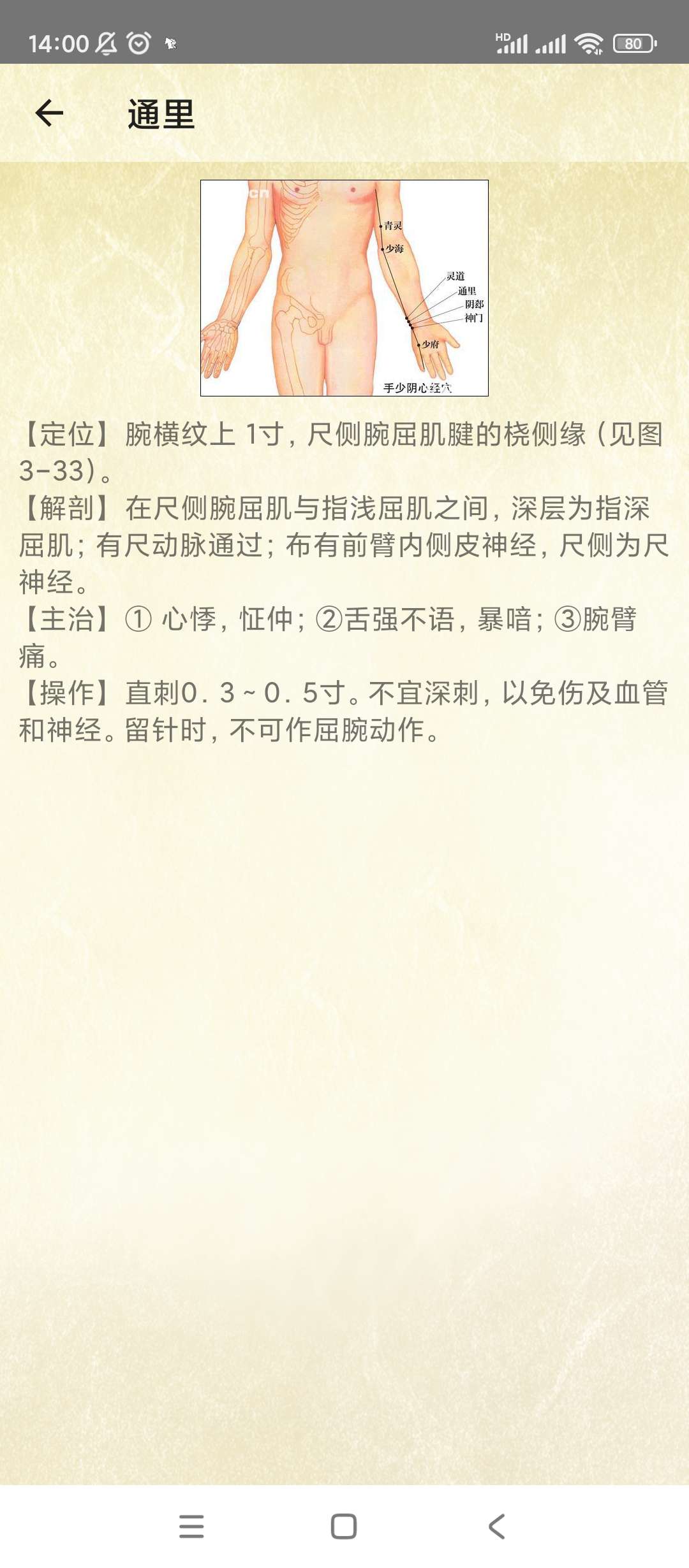 穴位按摩宝典v2.7中医学习 第8张插图