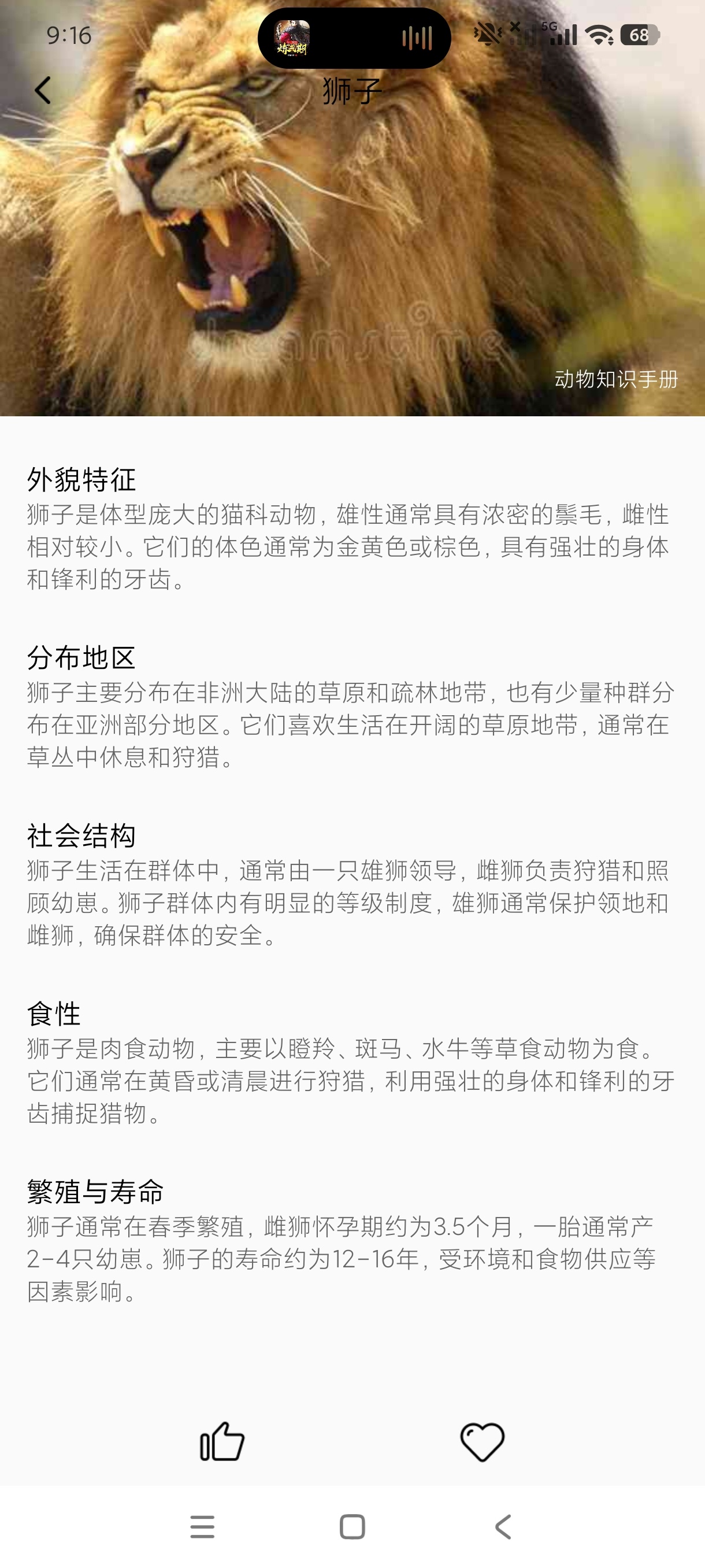 动物知识手册1.0科普动物软件|动物介绍|绿化版 第9张插图 动物知识手册1.0科普动物软件|动物介绍|绿化版 第9张插图