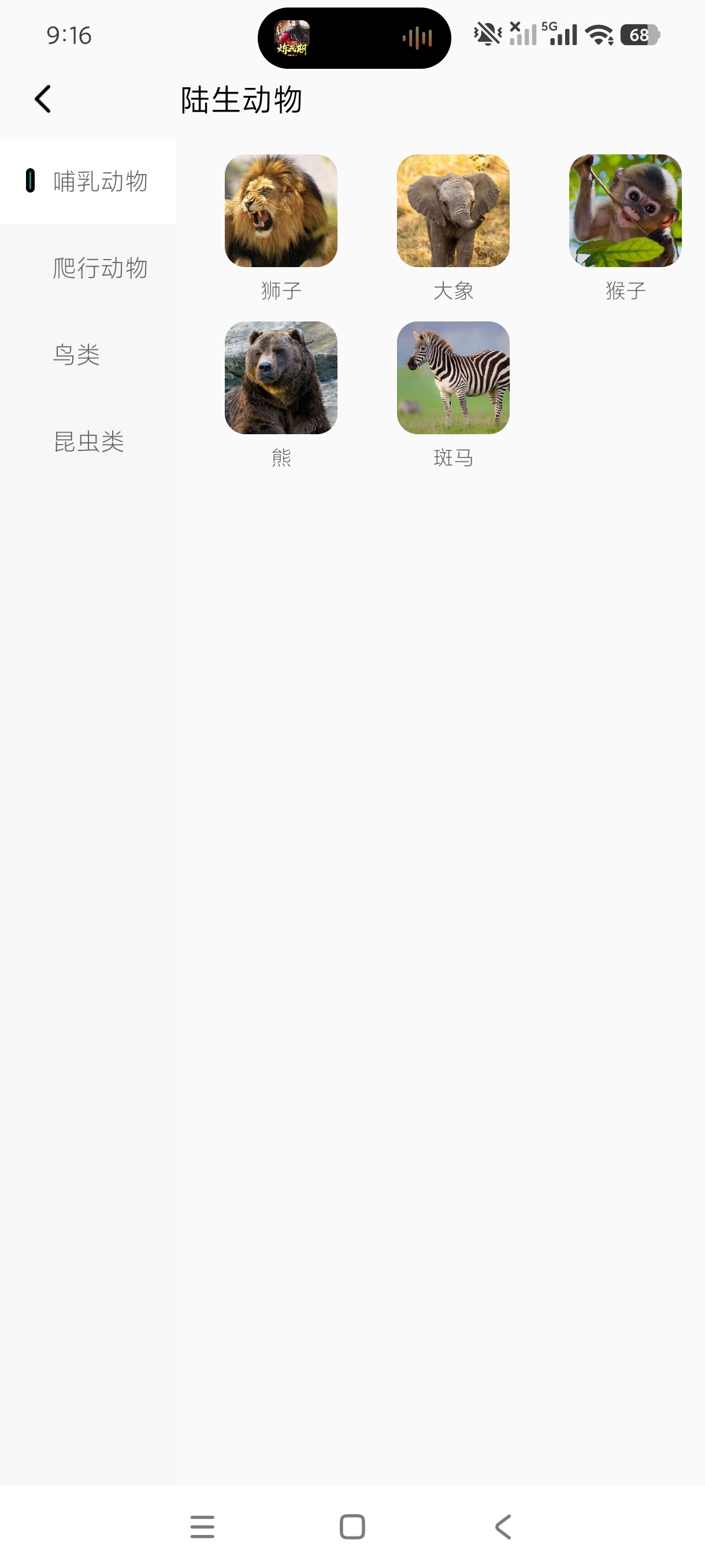 动物知识手册1.0科普动物软件|动物介绍|绿化版 第10张插图 动物知识手册1.0科普动物软件|动物介绍|绿化版 第10张插图