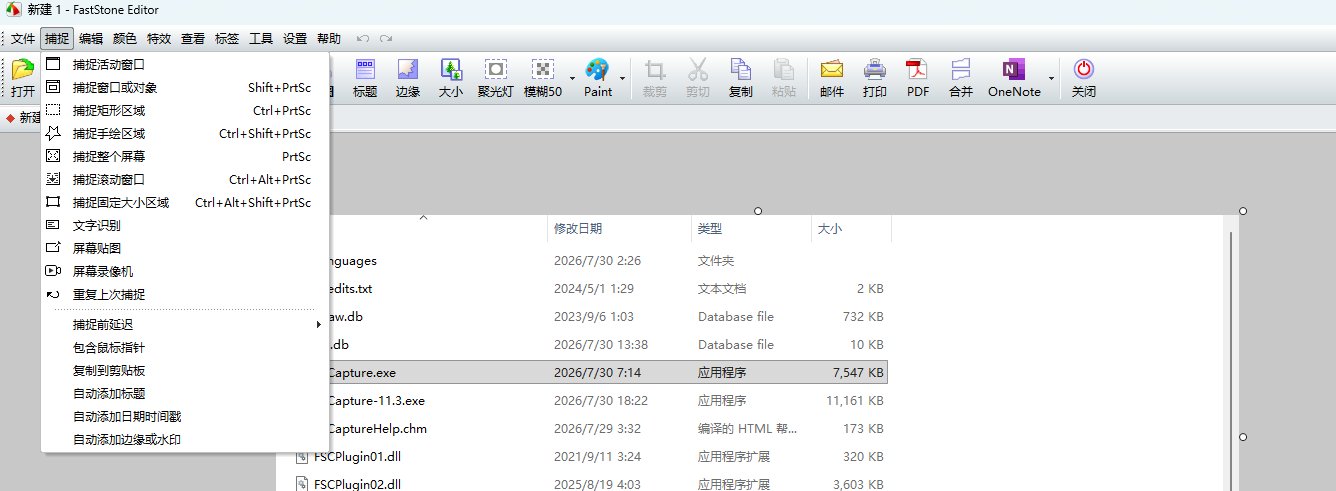 FastStone Capture v11.3 绿色便携 第8张插图