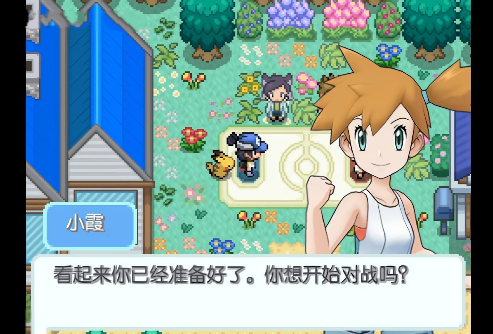 手机/PC双端宝可梦：和音·千只精灵幻彩改版