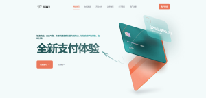 易支付新款首页模板 第5张插图 易支付新款首页模板 第5张插图