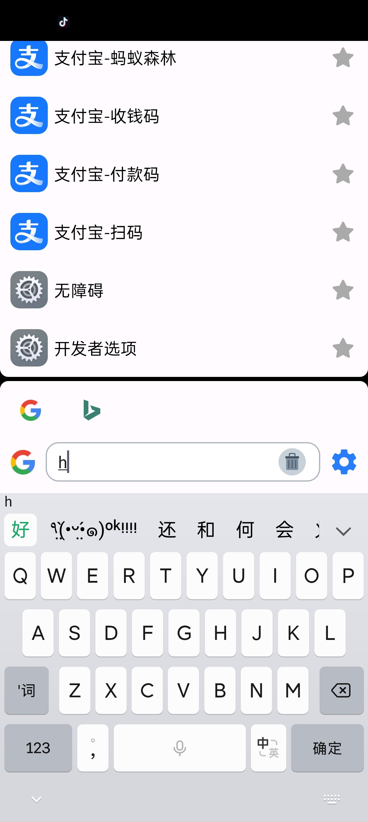 直达 v1.5.5.4179a69 搜索引擎 第9张插图