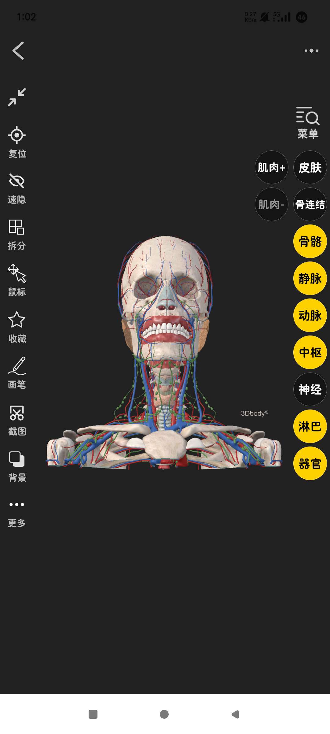 3Dbody解剖人体构造可视化!自由拆解 第8张插图 3Dbody解剖人体构造可视化!自由拆解 第8张插图