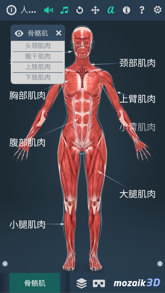 人体系统女性3D-1.0详细介绍女性全身系统~无广版 第6张插图 人体系统女性3D-1.0详细介绍女性全身系统~无广版 第6张插图